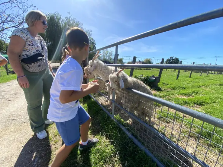 {{brizy_dc_image_alt imageSrc=