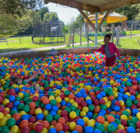 {{brizy_dc_image_alt imageSrc=